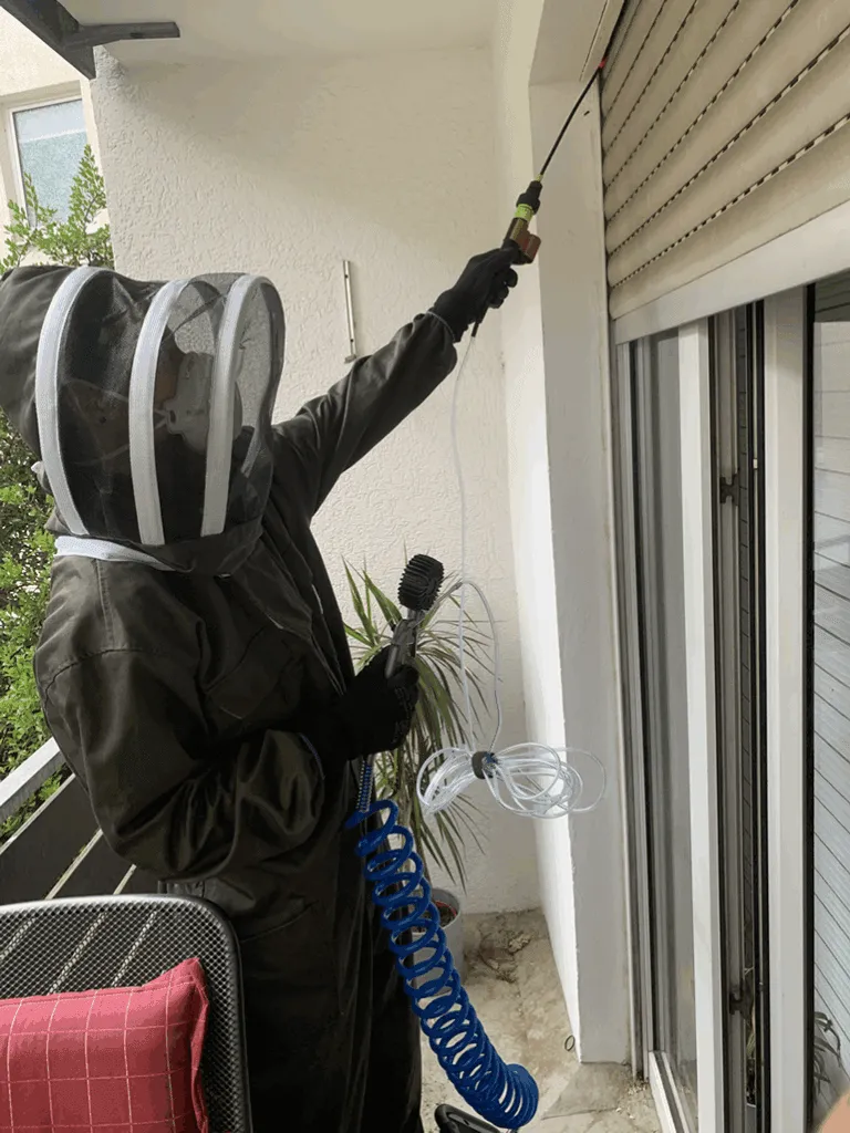 Behandlung eines Wespennests im Rollladenkasten — Aufnahme von einem echten Einsatz
