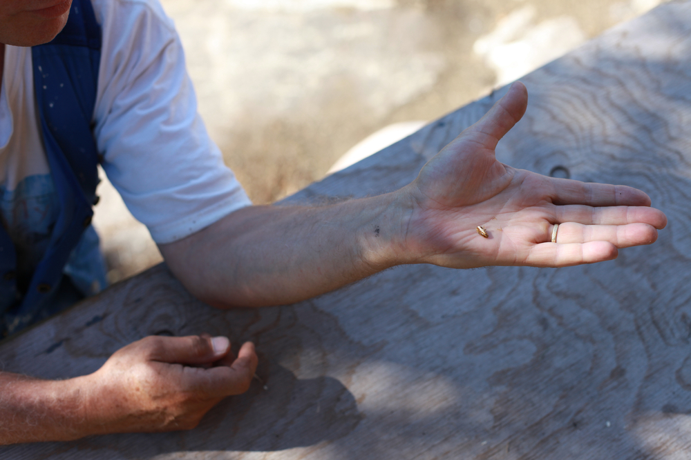 Bauliche Gegebenheiten: